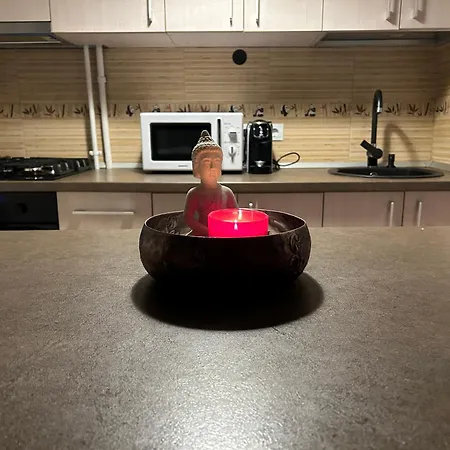 Apartament Nord Station